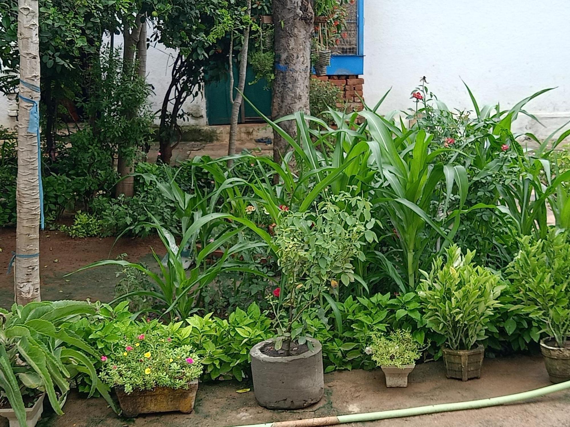 Khajuraho Rancho Apartment Екстериор снимка