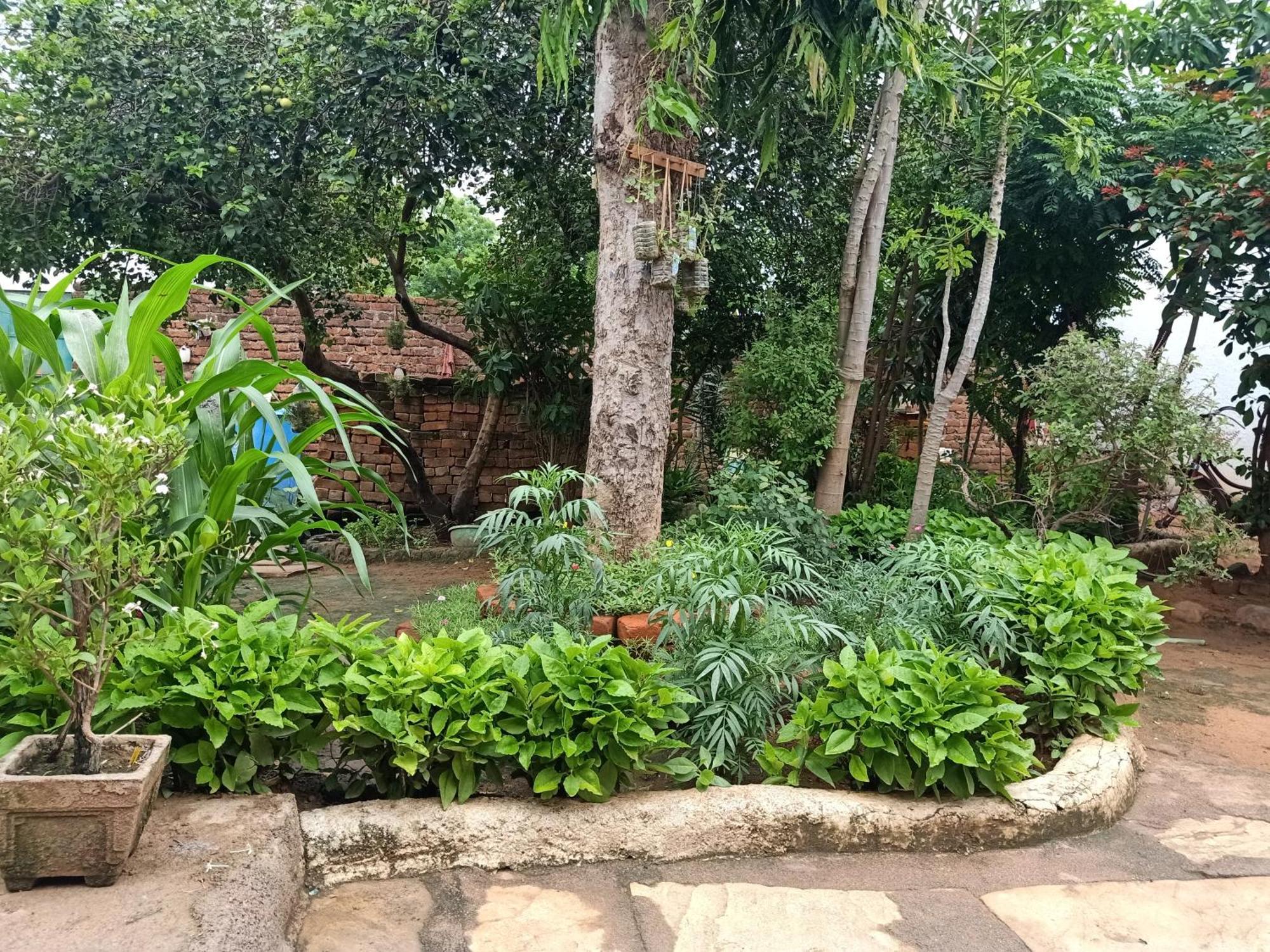 Khajuraho Rancho Apartment Екстериор снимка