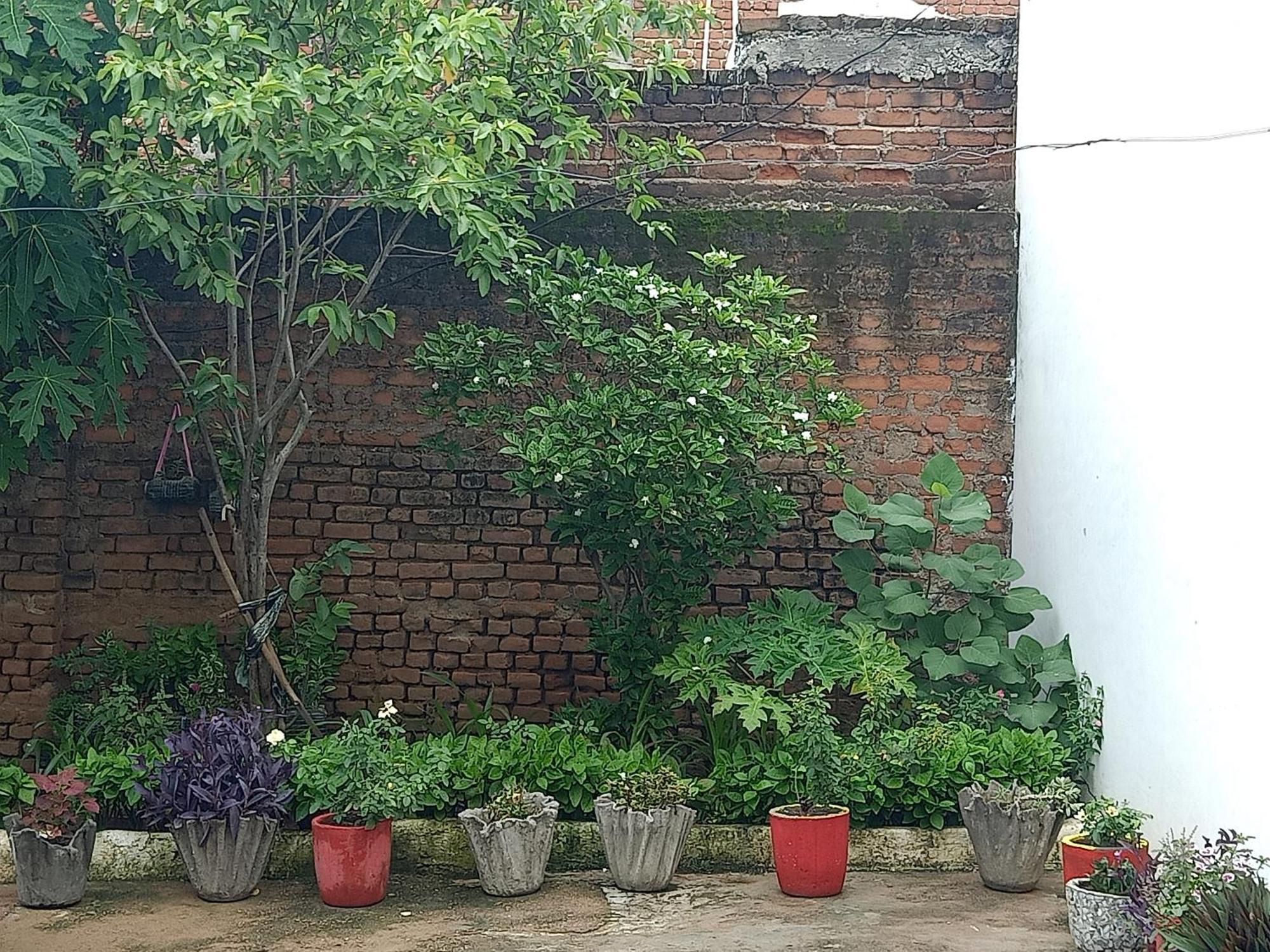 Khajuraho Rancho Apartment Екстериор снимка