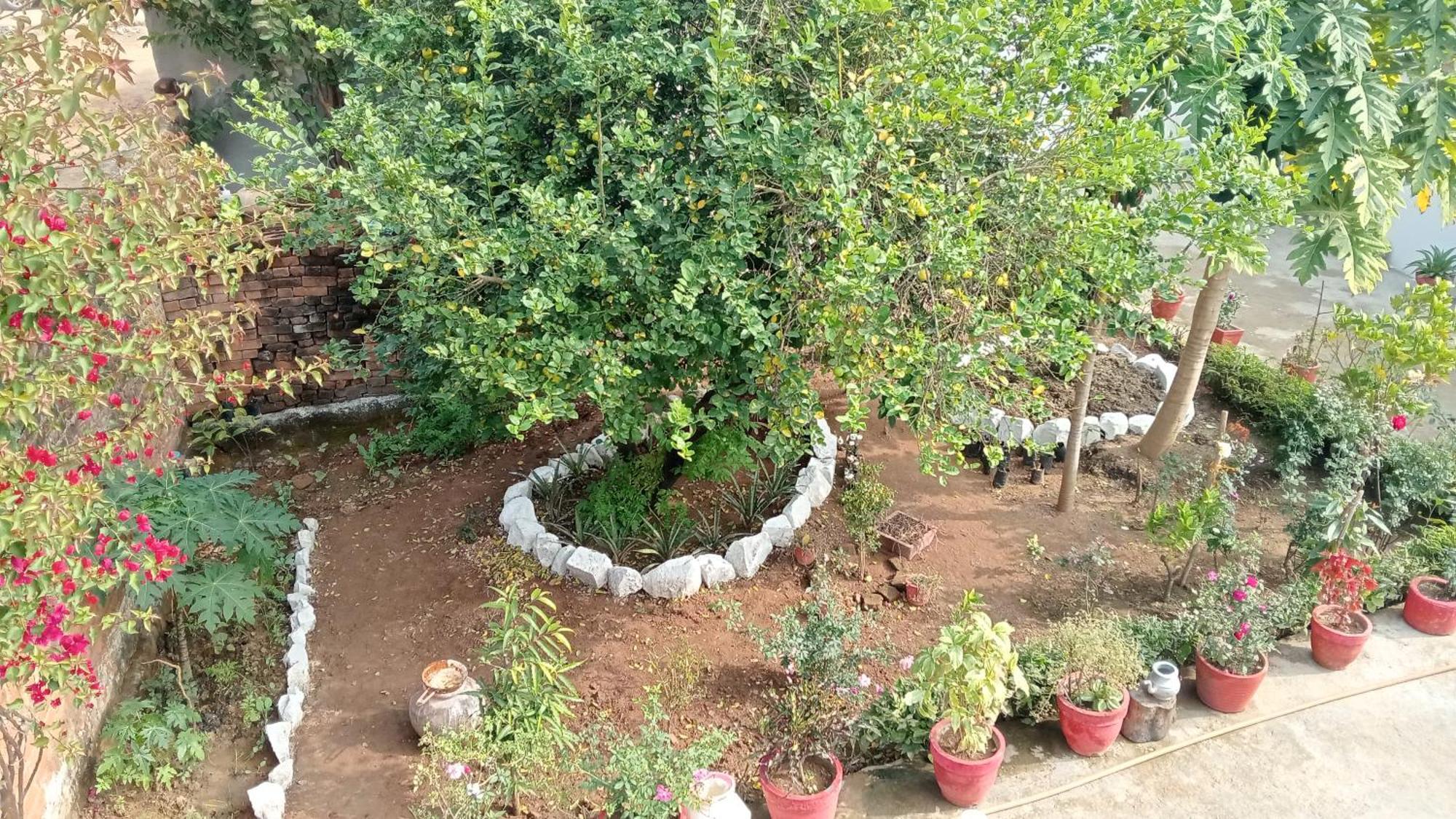 Khajuraho Rancho Apartment Екстериор снимка
